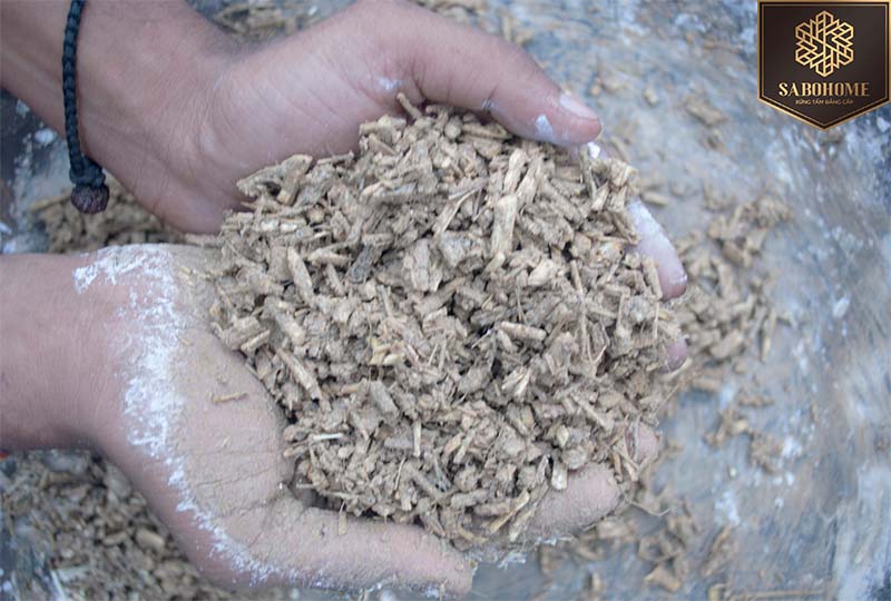 cây gai dầu